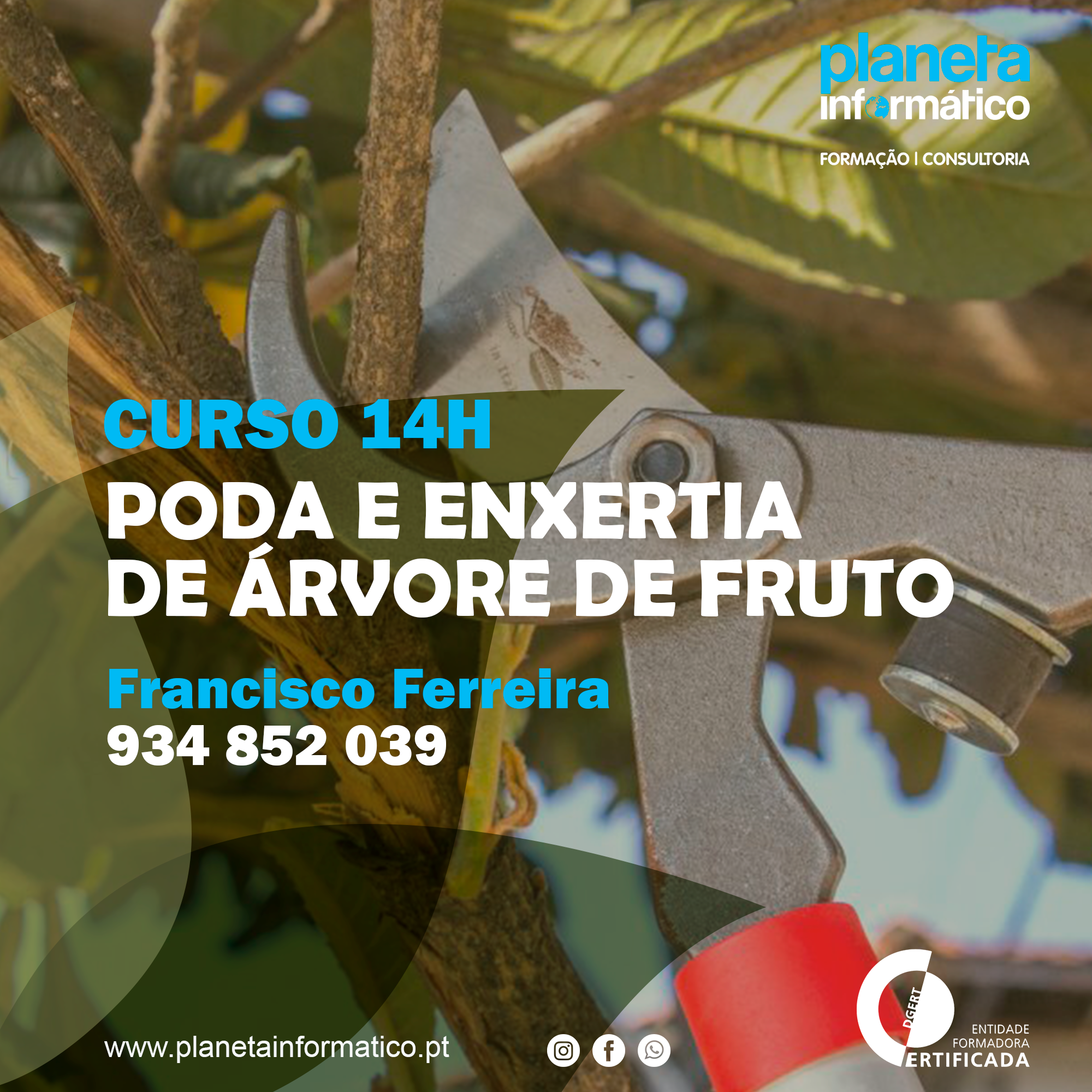 Imagem Formação de podas e enxertias